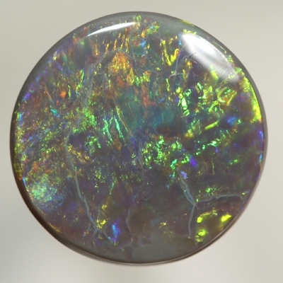 SOLID BLACK OPAL Bright golden multicolour